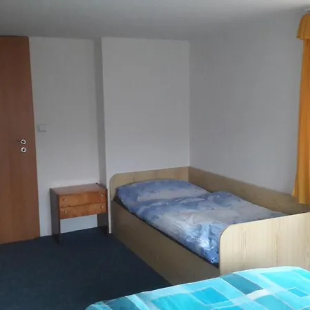 Apartman Dolni Tric Appartement