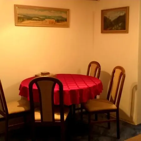 Apartman Dolni Tric Appartement
